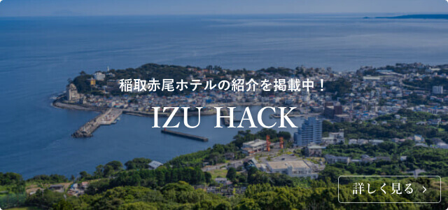 IZU HACK