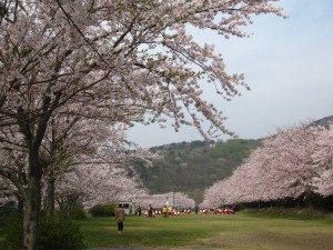 東伊豆クロスカントリー画像 005