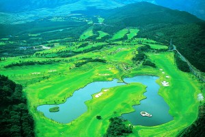 海コースBest航空写真伊豆半島